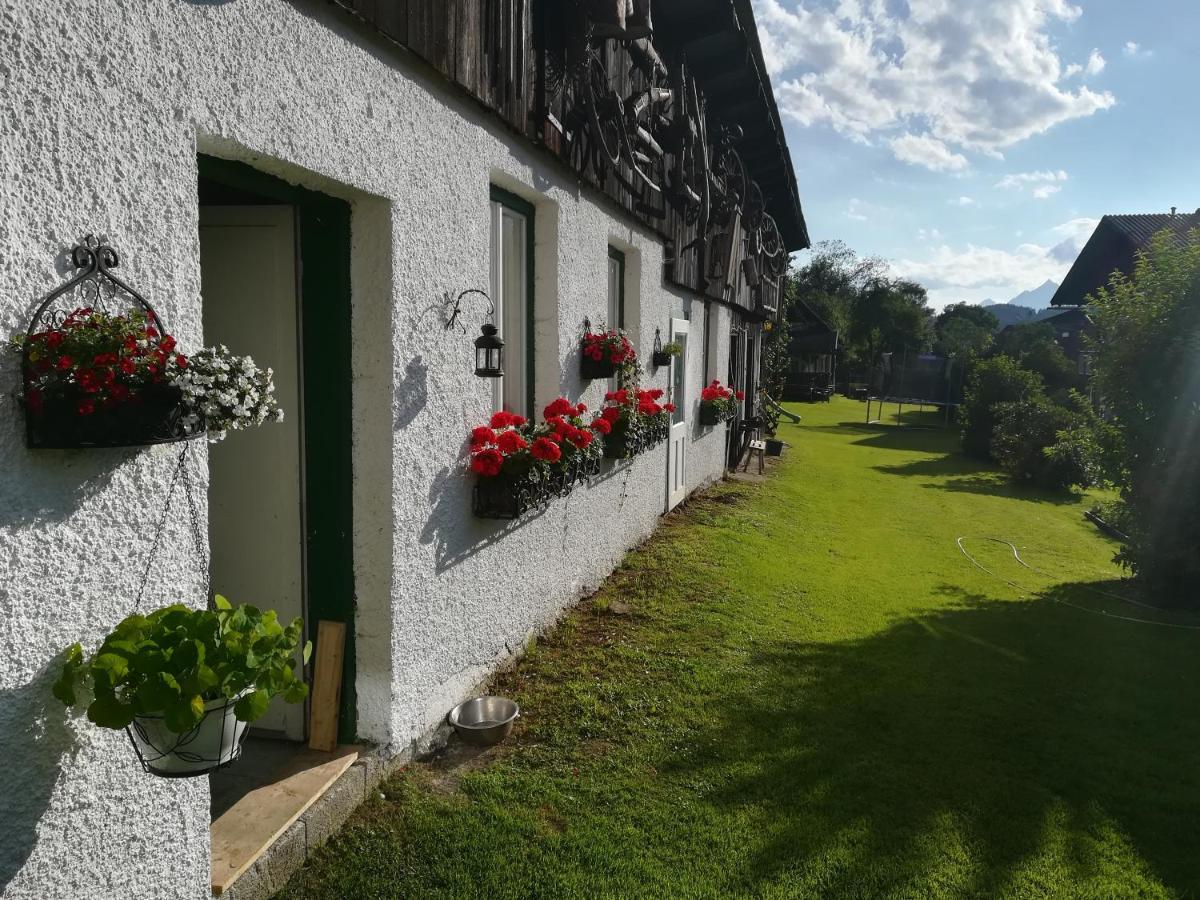 Haus Elisabeth Bed & Breakfast Aigen im Ennstal Exterior photo