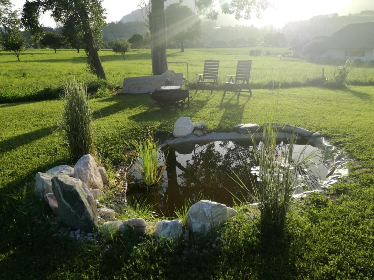 Haus Elisabeth Bed & Breakfast Aigen im Ennstal Exterior photo